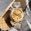 Đồng Hồ Longines Mater Automatic Nam Demi Gold Replica 11 Thụy Sỹ