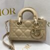Túi Dior D-Joy Mini Siêu Cấp Quai Da Khóa Mạ Vàng (3)