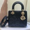Túi Dior Lady Họa Tiết Hoa Văn Bắt Mắt Màu Đen Siêu Cấp 20cm (2)