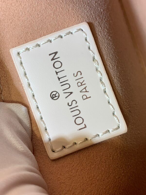 Túi Louis Vuitton LV Clunny Nữ Siêu Cấp Dây Vải Đeo Chéo 20x16cm (2)