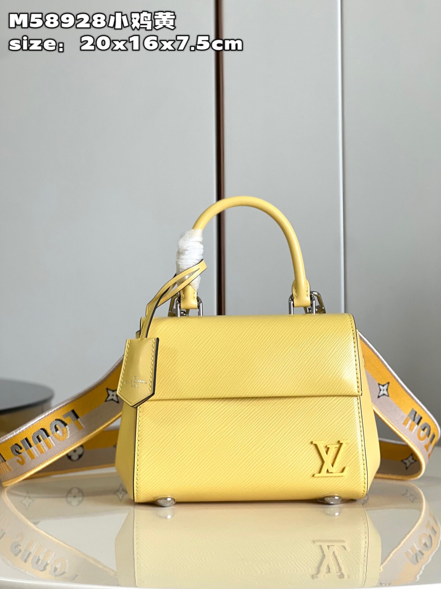 Replica Louis Vuitton LV CLUNY MINI Bag M58928 for Sale