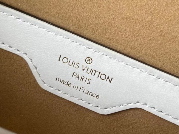 Túi Louis Vuitton LV Papilon Trunk Siêu Cấp Họa Tiết Mono