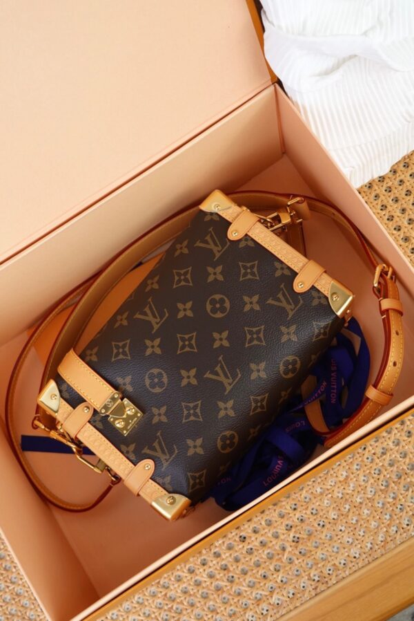 Túi Louis Vuitton LV Side Trunk Siêu Cấp Chữ Nhật (1)