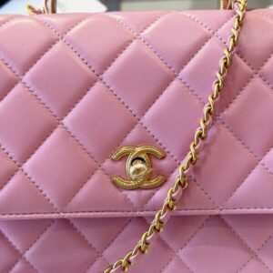 Túi Xách Chanel Coco Mini Handle Bag Màu Hồng Siêu Cấp (1)