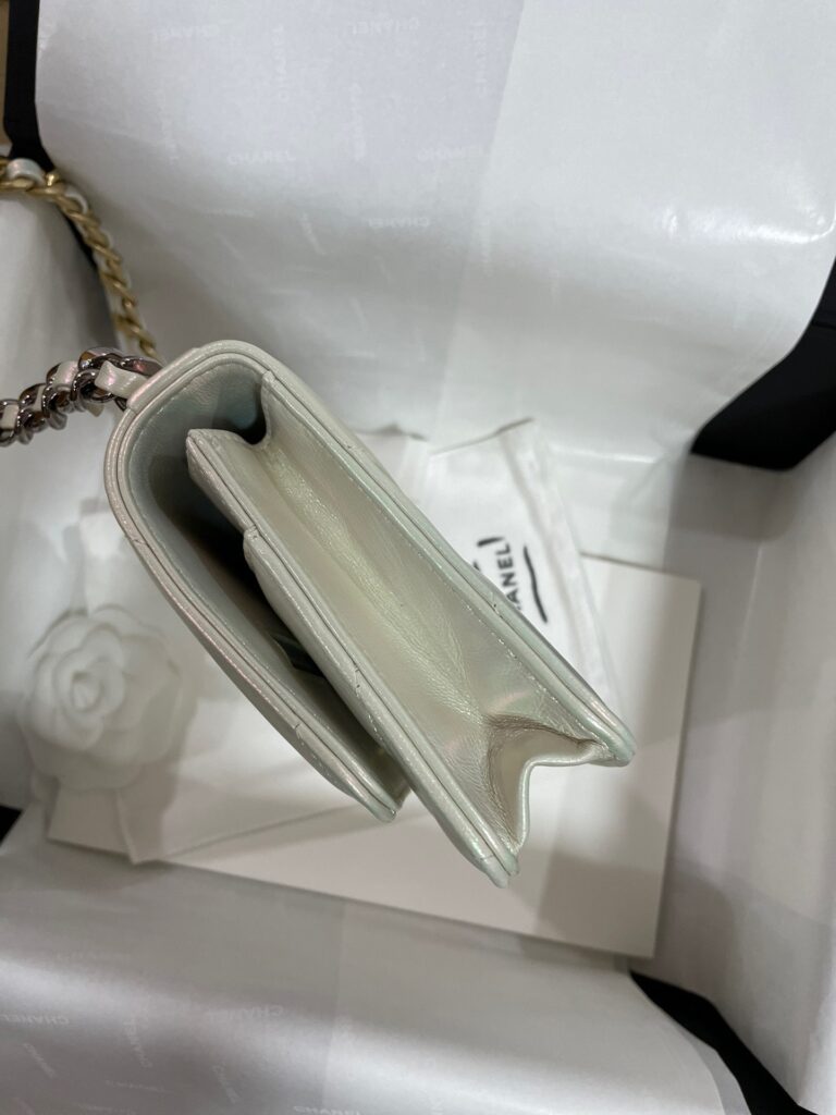 Túi Xách Chanel Woc C19 Siêu Cấp Màu Xanh Da Bóng Size 19cm (1)