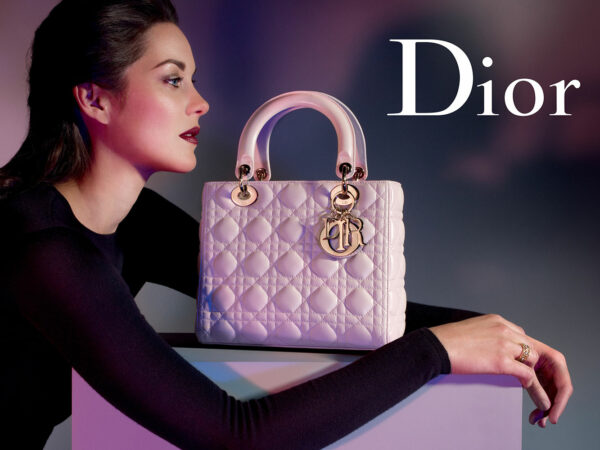 How Much Does a Dior Bag Cost Explore Dior's Luxury Handbags
