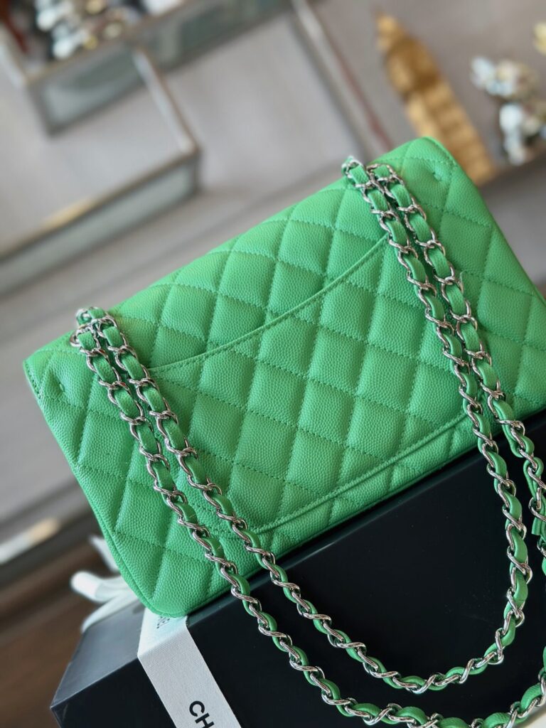 Túi Chanel Classic Replica 11 Cao Cấp Chất Da Hạt Nữ Màu Xanh 23cm (2)