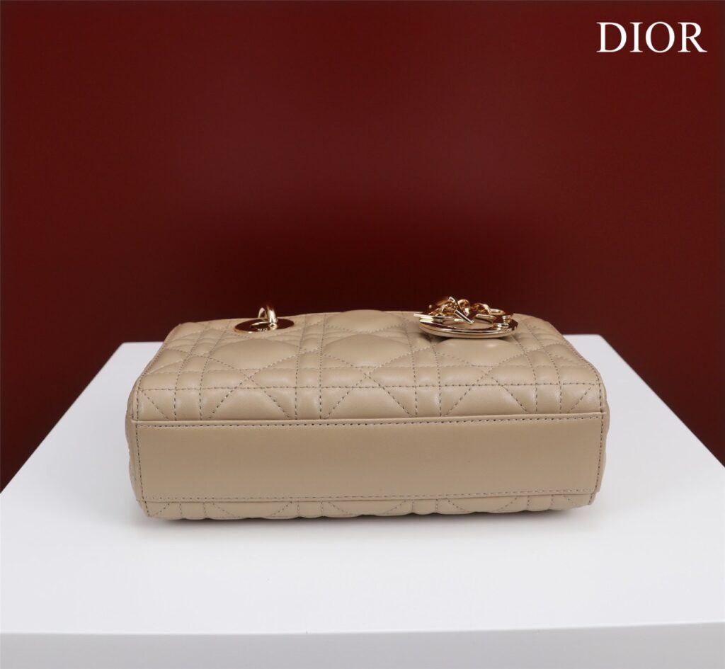 Túi Xách Dior D-Joy Đeo Vai Mini Da Bò Khóa Vàng Like Auth 16 (2)