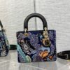 Túi Xách Hàng Hiệu Dior Lady Họa Tiết Đính Cườm Tỉ Mỉ 24cm (2)