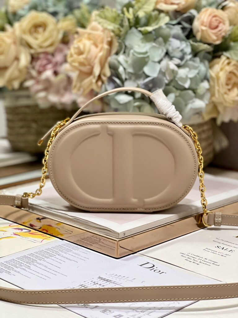 Túi Dior Signature Oval Camera Bag Siêu Cấp Khóa Vàng Bóng 18x6 (2)