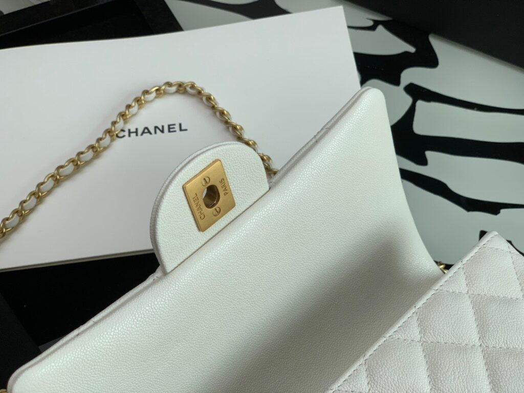 Túi Xách Siêu Cấp Chanel Handle Nữ Màu Trắng Khóa Vàng 20cm (2)