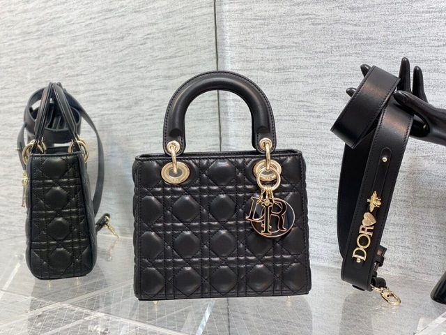 Collection of the Newest Dior Replica Bags Styles in 2023 (4)