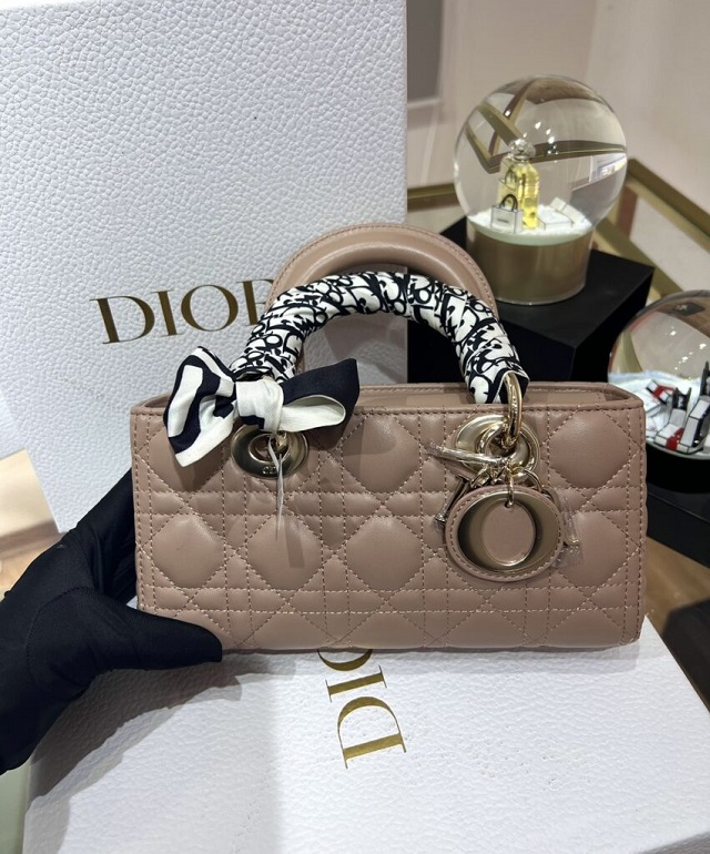Collection of the Newest Dior Replica HandBags Styles in 2023 (1)