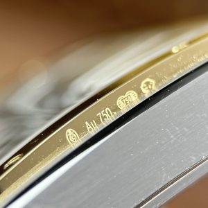 Đồng Hồ Cartier Santos Replica 11 Demi Vàng Mặt Lộ Cơ Dây Kim Loại 39 (2)